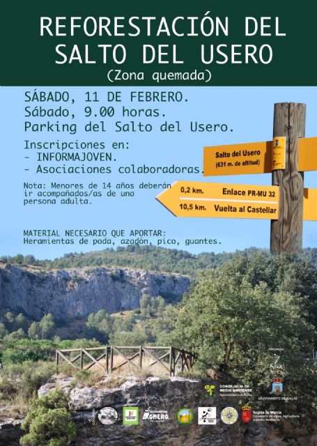 La concejalía de Medioambiente llama a la participación ciudadana para reforestar la zona quemada del Salto del Usero - 1, Foto 1