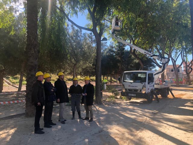 Parques y Jardines revisa y poda las más de 6.000 tipuanas de gran altura que hay en el municipio - 1, Foto 1