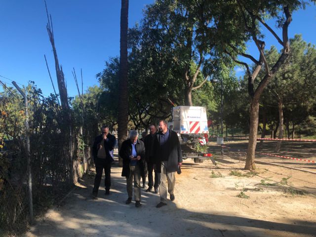 Parques y Jardines revisa y poda las más de 6.000 tipuanas de gran altura que hay en el municipio - 2, Foto 2