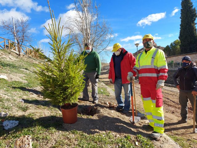Con la plantación de más de 400 árboles y arbustos en los Caminos Rojos, finaliza el programa que durante cuatro meses ha trabajado en la limpieza - 1, Foto 1