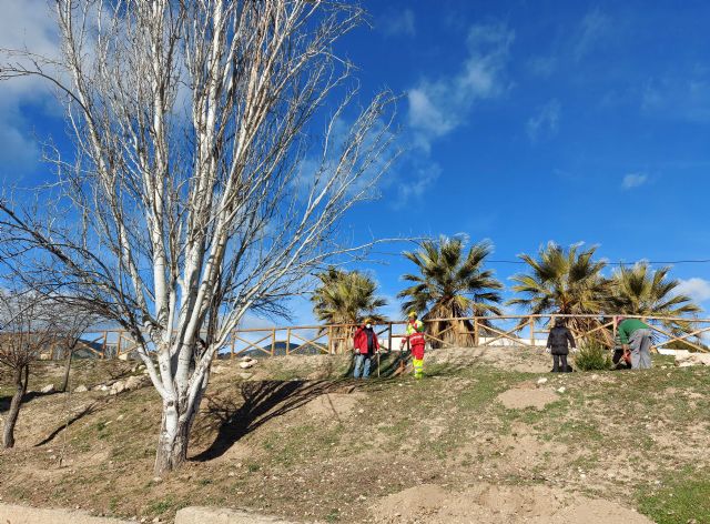 Con la plantación de más de 400 árboles y arbustos en los Caminos Rojos, finaliza el programa que durante cuatro meses ha trabajado en la limpieza - 2, Foto 2