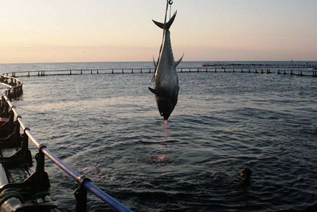 Una empresa alemana encarga a la ingeniería española explorar las posibilidades - 1, Foto 1