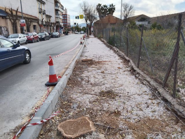 Los vecinos de Espinardo denuncian la tala masiva de árboles en Teniente Montesinos - 1, Foto 1