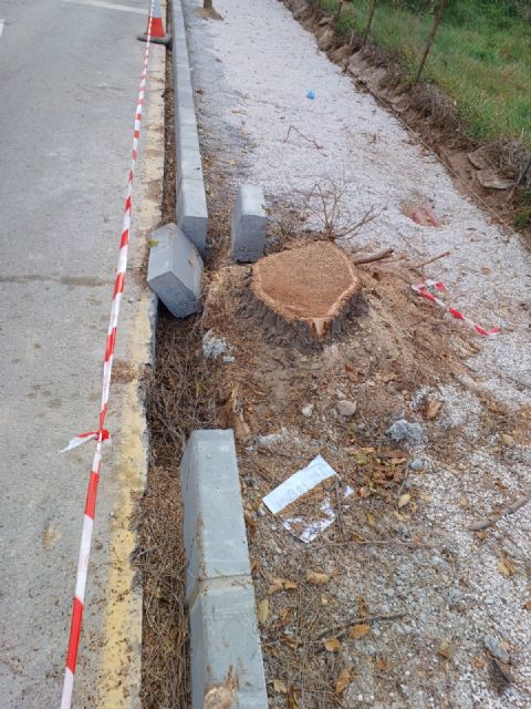 Los vecinos de Espinardo denuncian la tala masiva de árboles en Teniente Montesinos - 2, Foto 2