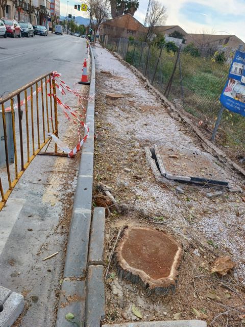 Los vecinos de Espinardo denuncian la tala masiva de árboles en Teniente Montesinos - 3, Foto 3