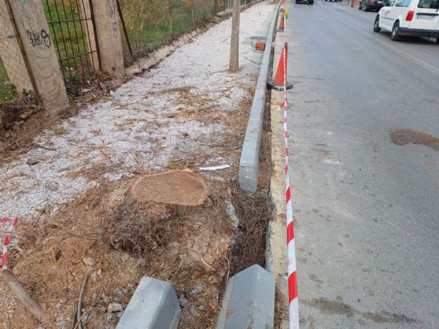 Los vecinos de Espinardo denuncian la tala masiva de árboles en Teniente Montesinos - 4, Foto 4