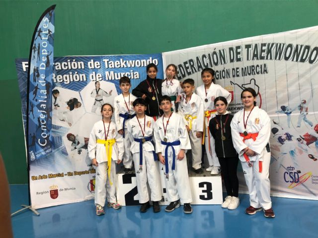 II Liga Regional de Combate de Taekwondo, Foto 2