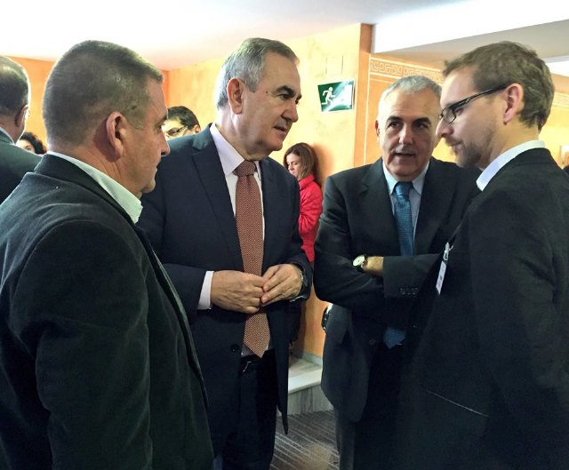 La Asamblea acuerda pedir al Gobierno regional que junto a los ayuntamientos adopten medidas para que la planta fotovoltaica de Zarcilla de Ramos tenga la menor afectación sobre industrias, viviendas y explotaciones agrícolas, Foto 2