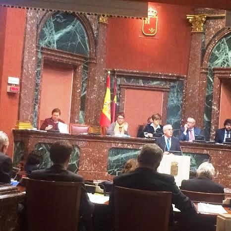 El Consistorio apoya en la Asamblea Regional a los afectados por el trazado de la Línea de Alta Tensión, cuya moción se ha aprobado por unanimidad, Foto 7