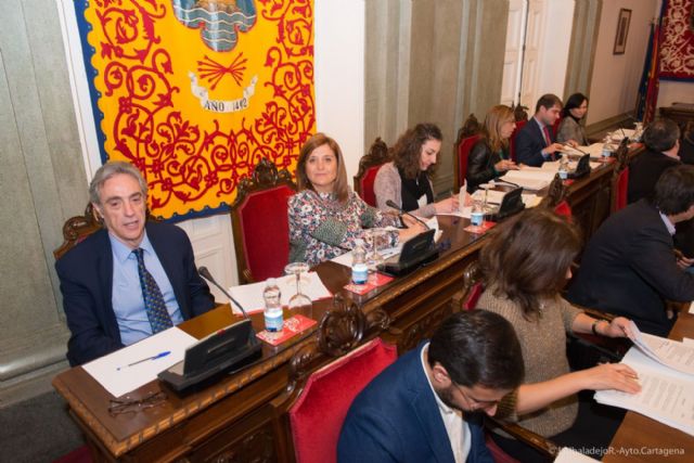 El pleno saca adelante doce mociones, la mitad de ellas por unanimidad - 1, Foto 1