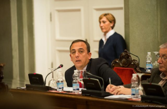 El pleno saca adelante doce mociones, la mitad de ellas por unanimidad - 2, Foto 2