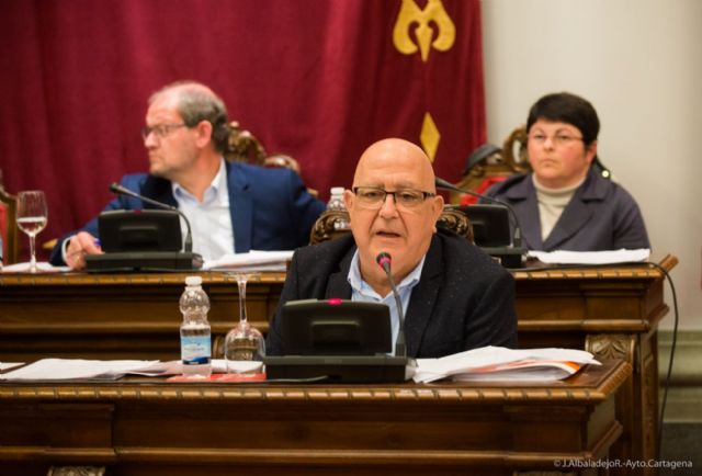 El pleno saca adelante doce mociones, la mitad de ellas por unanimidad - 3, Foto 3