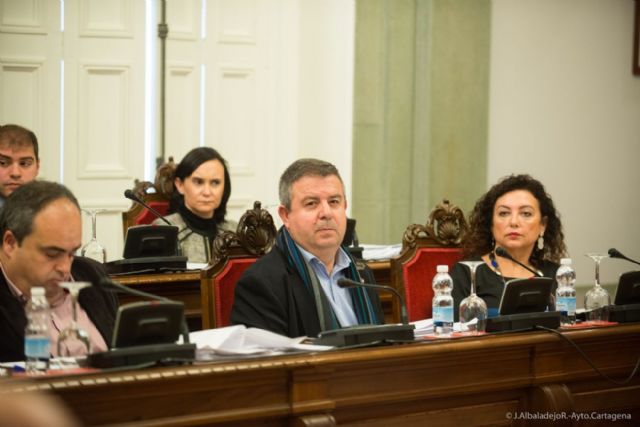 El pleno saca adelante doce mociones, la mitad de ellas por unanimidad - 4, Foto 4