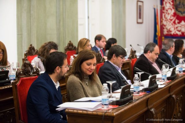 El pleno saca adelante doce mociones, la mitad de ellas por unanimidad - 5, Foto 5