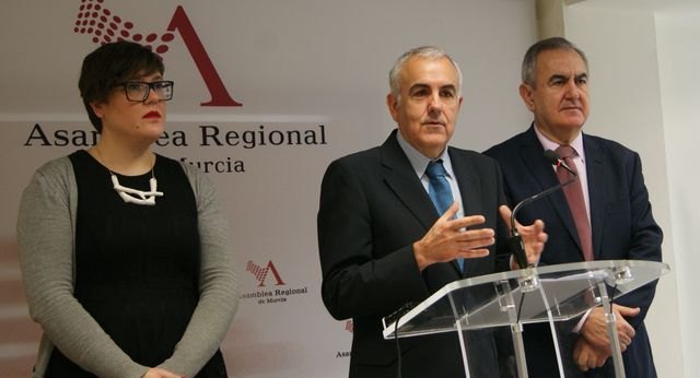 La Asamblea acuerda pedir al Gobierno regional que junto a los ayuntamientos adopten medidas para que la planta fotovoltaica de Zarcilla de Ramos tenga la menor afectación sobre industrias, viviendas y explotaciones agrícolas, Foto 5