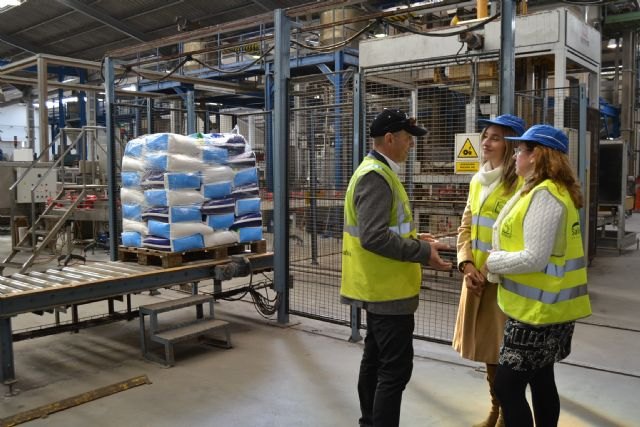 Industria presenta a los empresarios del Mar Menor las ayudas al fomento de la eficiencia energética y energías renovables - 1, Foto 1