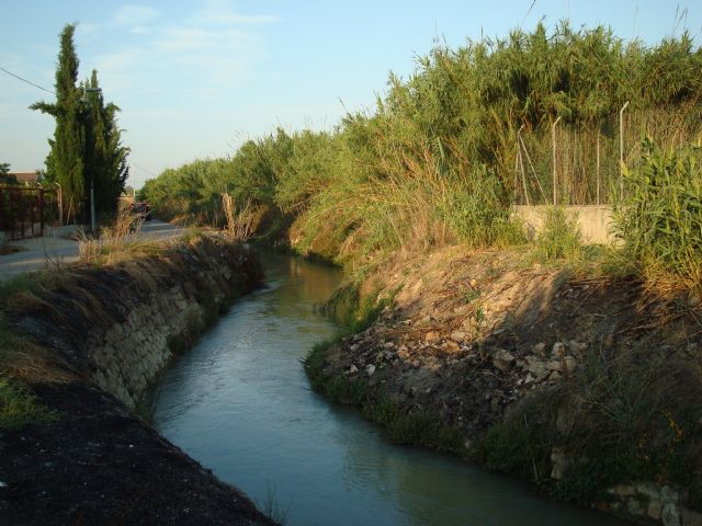 Huerta Viva pide la restauración de las acequias mayores - 1, Foto 1