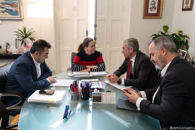 Redexis presenta a la alcaldesa de Cartagena su ´proyecto piloto´ de energía solar fotovoltaica para los ciudadanos - 2, Foto 2