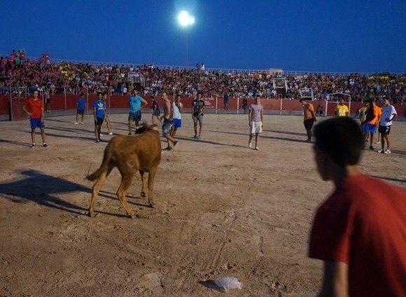 PP: El PSOE de Las Torres de Cotillas se echa atrás en su intento de acabar con la vaquilla de las fiestas - 3, Foto 3
