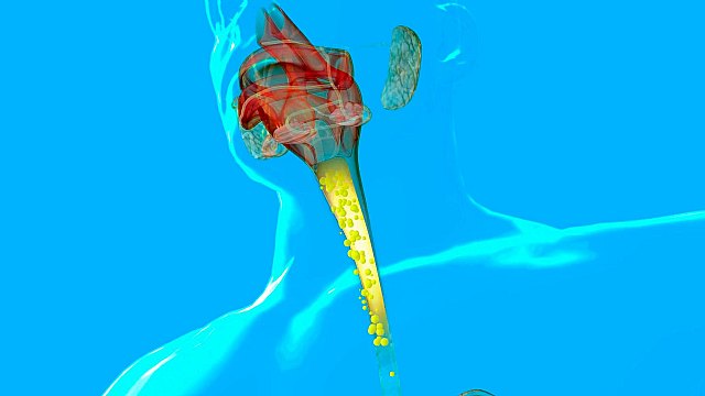 Más de la mitad de la población acude a la farmacia en caso de resfriado - 1, Foto 1