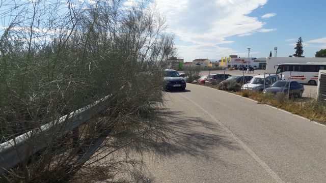 El PP exige la limpieza urgente de los márgenes de los caminos y carreteras de Cazalla - 1, Foto 1