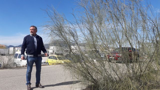 El PP exige la limpieza urgente de los márgenes de los caminos y carreteras de Cazalla - 2, Foto 2