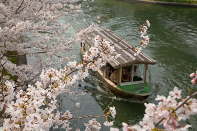 Los rincones escondidos de Kioto (que no están en las guías) - 2, Foto 2