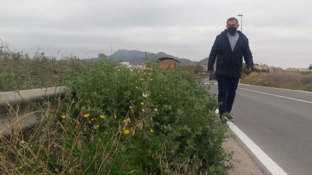 Los vecinos del Camino de Cartagena exigen de nuevo el desbroce y limpieza de los arcenes peatonales, que acumulan 20 meses plagados de basura y matorrales - 3, Foto 3