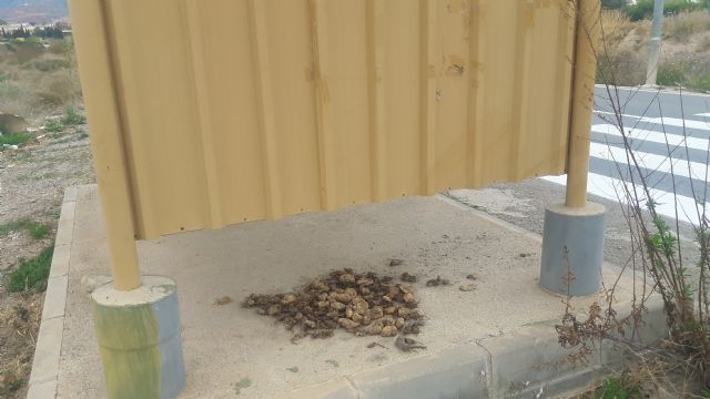 Los vecinos del Camino de Cartagena exigen de nuevo el desbroce y limpieza de los arcenes peatonales, que acumulan 20 meses plagados de basura y matorrales - 5, Foto 5