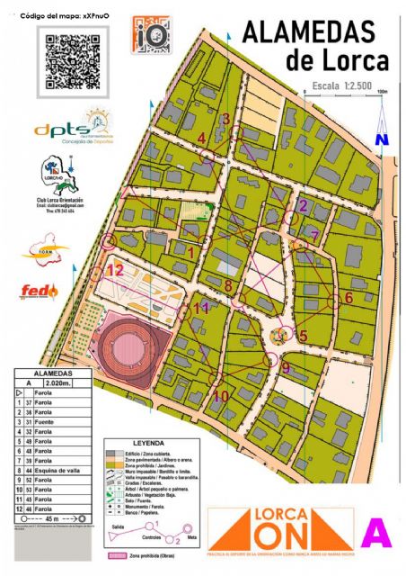 La Concejalía de Deportes, junto al Club Lorca-O, lanza el programa ´Lorca On´ - 2, Foto 2