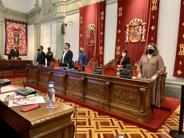 MC promueve en el Pleno que la zona norte del municipio disponga de Centros de Día - 3, Foto 3