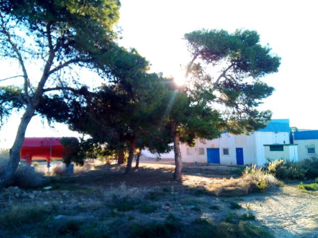 Mar Menor. Drenajes. Campo de Cartagena. Rambla del Albujón - 2, Foto 2