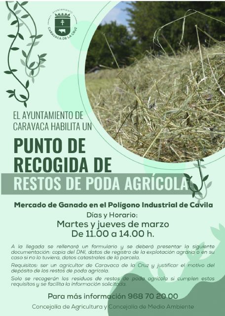 El Ayuntamiento de Caravaca habilita por segundo año un punto de recogida de restos de poda agrícola - 1, Foto 1