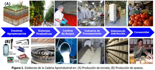 El Ayuntamiento de Lorca informa de la apertura del plazo para solicitar las 'Ayudas a Inversiones en Transformación, Comercialización y Desarrollo de Productos Agrarios' - 1, Foto 1