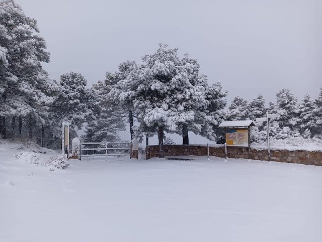 Meteorología actualiza y amplía aviso amarillo por nevadas en la Región - 1, Foto 1