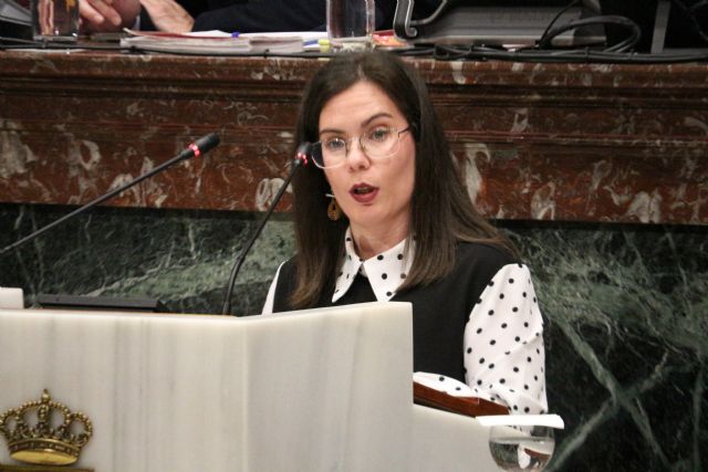 El PSOE consigue sacar adelante una iniciativa para la creación de un nuevo Plan de Atención Integral de Enfermedades Raras de la Región de Murcia - 1, Foto 1