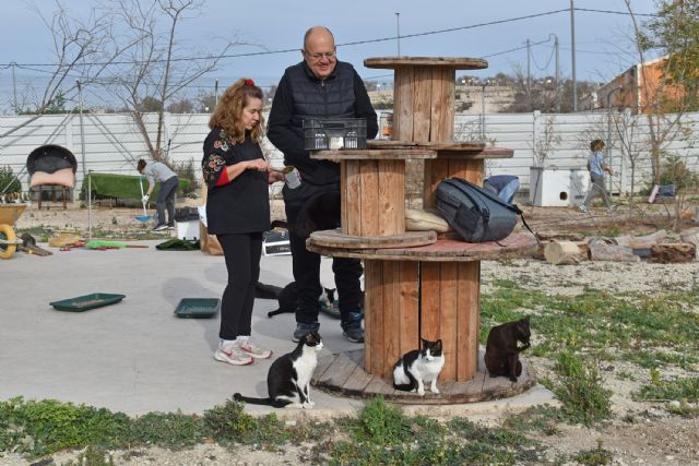 Voluntarios colaboran en la mejora y cuidado de la gatera municipal - 1, Foto 1