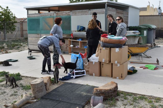 Voluntarios colaboran en la mejora y cuidado de la gatera municipal - 2, Foto 2