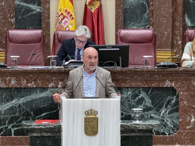 El PP de López Miras y la ultraderecha de Antelo impiden que Murcia sea declarada Región Acogedora en la iniciativa impulsada por IU-Verdes y Podemos - 2, Foto 2