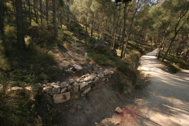 Medio Ambiente finaliza las actuaciones de recuperación ambiental en el sendero Zig Zag del Cerro de La Atalaya en Cieza - 1, Foto 1