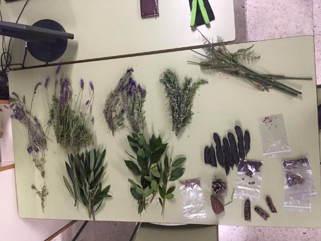 Alumnos de FP de Águilas aprendieron el uso de plantas en la cocina - 1, Foto 1