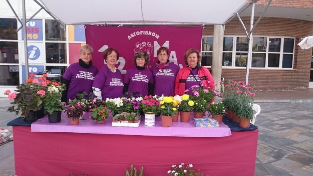 Buen ambiente en la Plaza Solidaria - 5, Foto 5