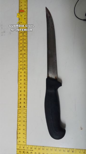 La Guardia Civil esclarece el homicidio de un vecino de San Pedro del Pinatar - 4, Foto 4