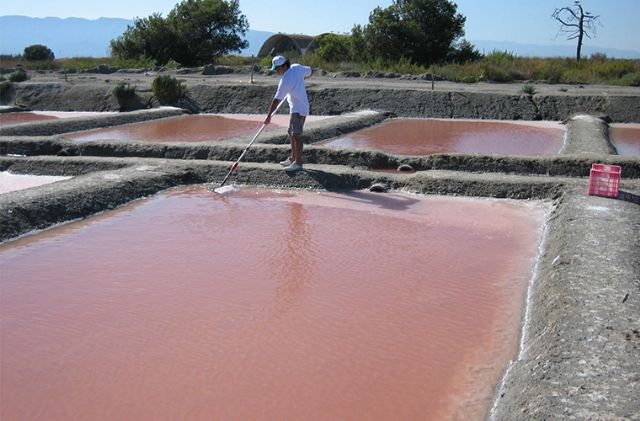 La compra de sal marina se dispara en España a consecuencia de la crisis del Covid-19 - 1, Foto 1