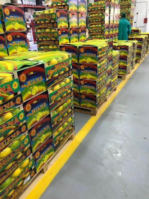 El sector agroalimentario murciano da la talla en la crisis del COVID-19 - 1, Foto 1