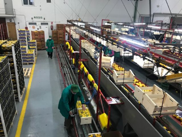 El sector agroalimentario murciano da la talla en la crisis del COVID-19 - 2, Foto 2