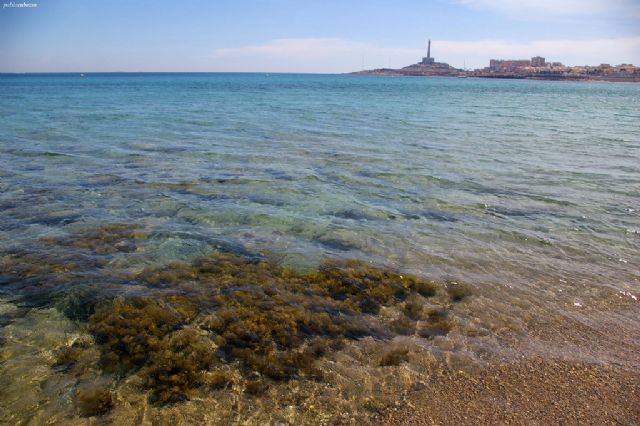 La UMU investiga la huella de la pesca recreativa en Cabo de Palos - 1, Foto 1