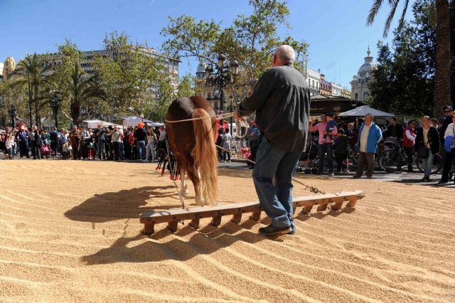 Vuelve a Valencia Tastarròs, la gran fiesta del arroz - 5, Foto 5