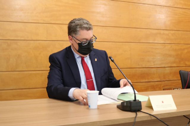 Murcia participará en un proyecto que optimizará las redes de alumbrado público para integrarlas en la ciudad - 1, Foto 1