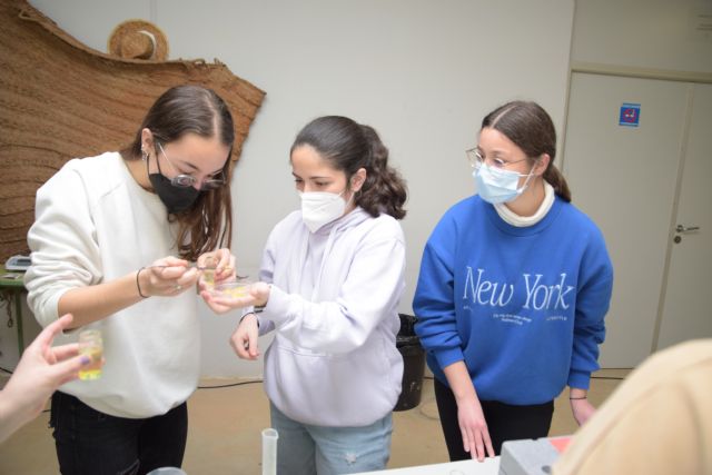 Estudiantes de bachillerato aprenden a hacer caviar de naranja, a elaborar vino y a regenerar purines en las Rutas Biotecnológicas - 1, Foto 1
